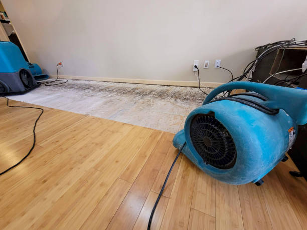 Professional Burst Pipe Water Damage technician working in Bloomfield, MO